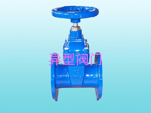 Stainless steel soft seal gate valve